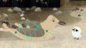 ババとカモメの赤ちゃん 他 サムネイル