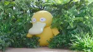 どう？いま楽しい？ サムネイル
