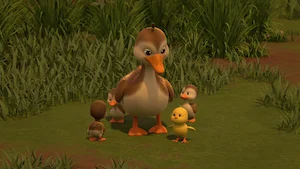 The Chick Commotion サムネイル